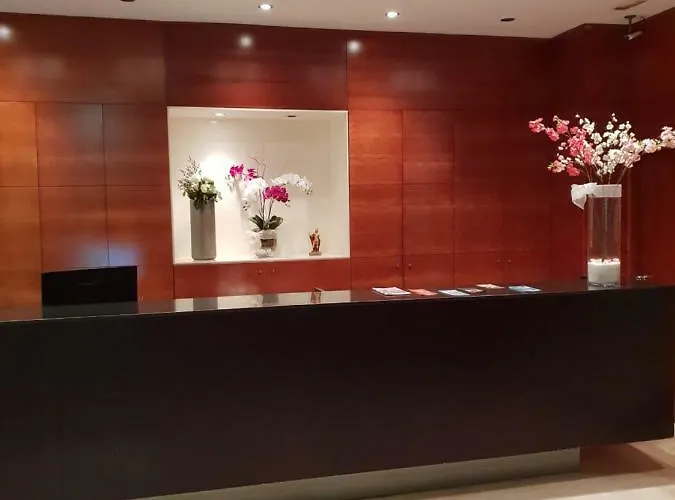 Hotel Sant Bonifaci Petrer 3*